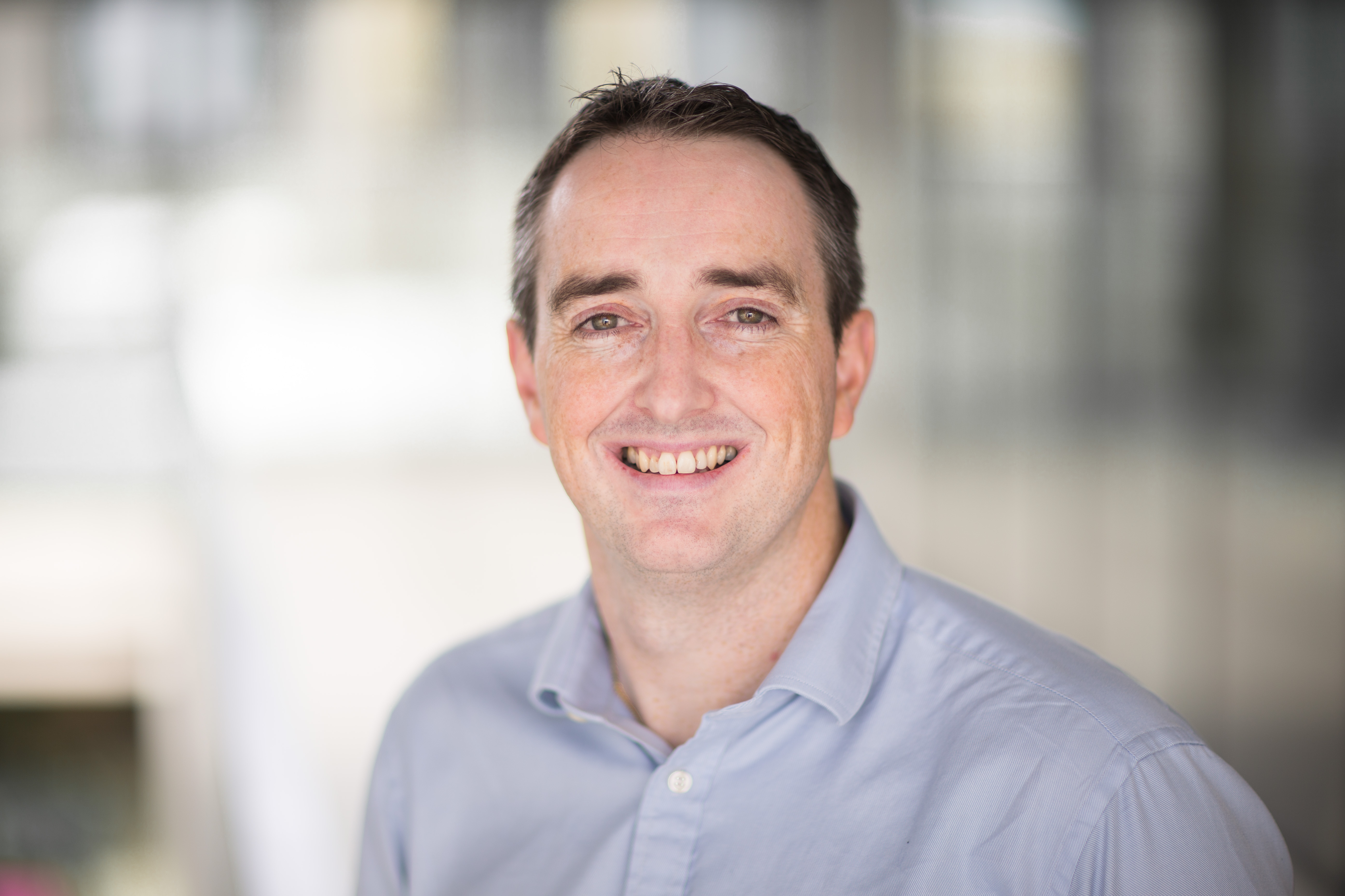 Andrew m oran greeley alan l mintz essay 06 picture