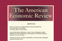 The American Economic Review